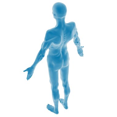 3D mavi insan anatomisi modeli dinamik duruşta.