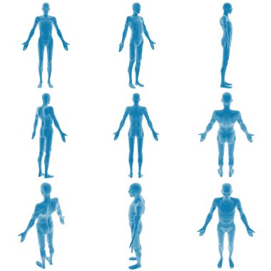 Çeşitli pozlarda insan anatomisinin 3 boyutlu canlandırması