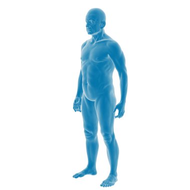 Erkek anatomisinin mavi renkte 3 boyutlu canlandırması