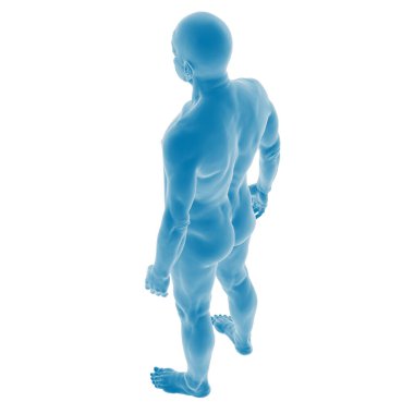 Mavili bir erkek insan figürü üzerinde anatomik çalışma.