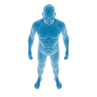 Mavi renkli erkek anatomik figürü, ön manzara.