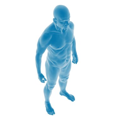 Yarı saydam erkek anatomik figürünün 3D görüntüsü.