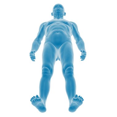 İnsan vücudunun 3 boyutlu anatomik modeli