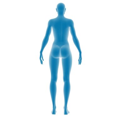 Dijital insan anatomisi modeli mavi, dikiz aynası.