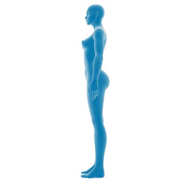 Profil görünümünde mavi bir insan figürünün 3B görüntülenmesi