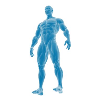 Kaslı bir erkek figürünün dijital 3D modeli.