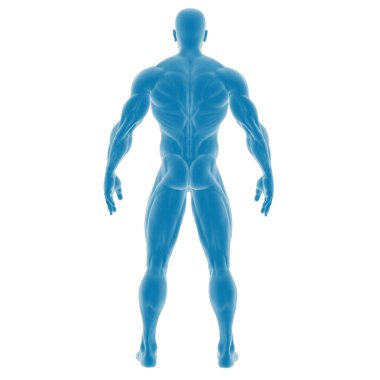 Sayısallaştırılmış mavi insan anatomisi çizimi.