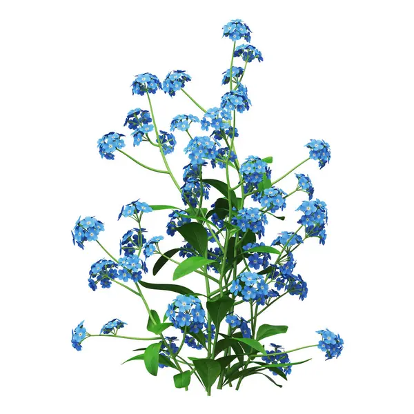 Beyaz arkaplanda canlı mavi çiçek aranjmanı