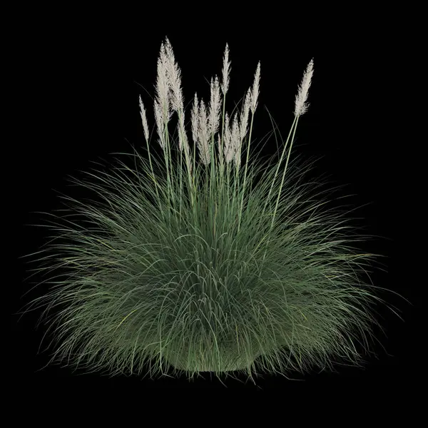 Siyah arka planda yemyeşil otlar