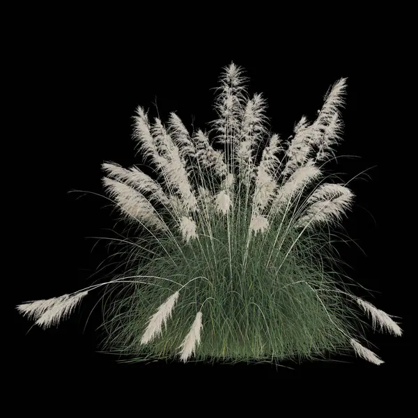 Siyah arka planda yemyeşil otlar