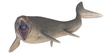 Geniş çene illüstrasyonlu tarih öncesi köpekbalığı.