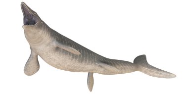 Tarih öncesi bir deniz sürüngeninin gerçekçi 3 boyutlu canlandırması