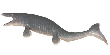 Bir Mosasaurus dinozorunun gerçekçi tasviri