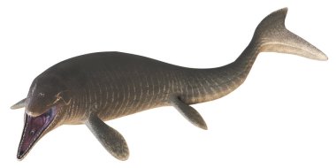 Tarih öncesi bir Dunkleosteus 'un gerçekçi tasviri.
