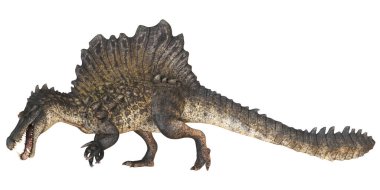 Bir Spinosaurus dinozorunun gerçekçi tasviri.