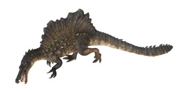 Beyaz arka planda gerçekçi bir spinosaurus dinozor..
