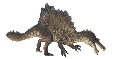 Açık çene ile dinamik bir duruş Spinosaurus.