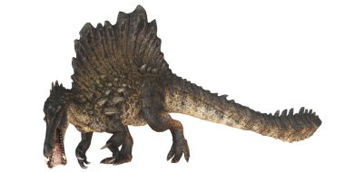 Bir Spinosaurus dinozorunun gerçekçi tasviri