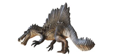Beyaz arkaplanda dijital olarak oluşturulmuş Spinosaurus
