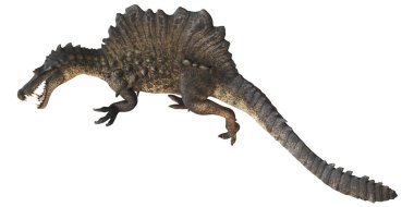Bir Spinosaurus 'un gerçekçi dinazor modeli.