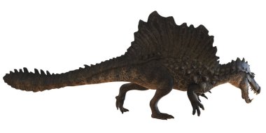 Gerçekçi Spinosaurus dinozor tasviri