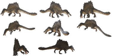 Spinosaurus dinozoru çeşitli dinamik pozlarda