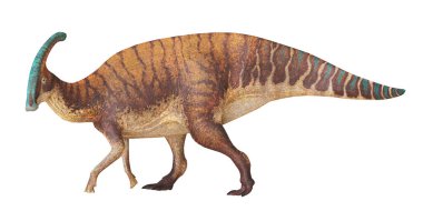 Bir Parasaurolophus dinozorunun tasviri