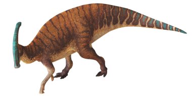 Bir Parasaurolophus dinozorunun tasviri