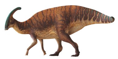 Bir Parasaurolophus dinozorunun tasviri