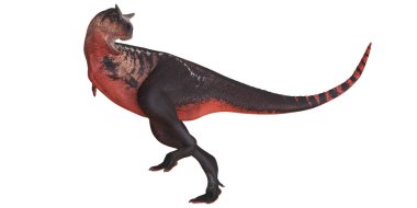 Bir Carnotaurus Dinozorunun 3 boyutlu görüntüsü