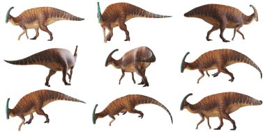 Çeşitli pozlarda resimli Parasaurolophus