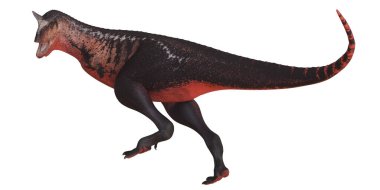 Majungasaurus dinozoru dinamik bir duruşta