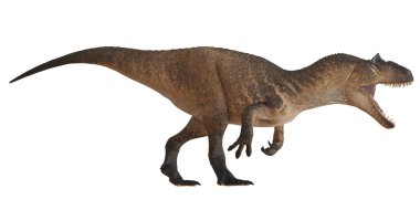 Beyaz arka planda kükreyen vahşi dinozor..