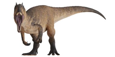 Beyaz arka planda keskin dişleri olan kükreyen dinozor..