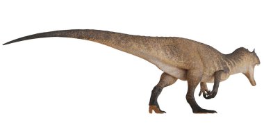 Beyaz arka planda gerçekçi dinozor modeli.