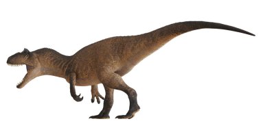 Beyaz arka planda vahşi Tyrannosaurus Rex
