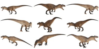 Çeşitli pozlarda dinozor modelleri.