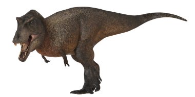 Gerçekçi Tyrannosaurus Rex modeli hareket halinde.