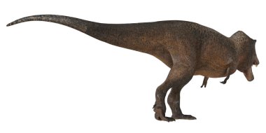 Gerçekçi T-Rex dinozor modeli canlı gibi duruyor..