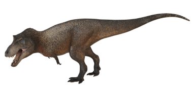 Gerçekçi Tyrannosaurus Rex çizimi.