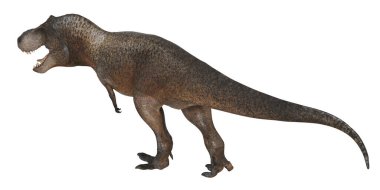 Gerçekçi Tyrannosaurus Rex yan profil çizimi
