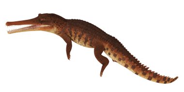 Antik bir timsah türünün gerçekçi çizimi