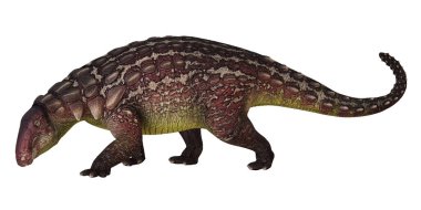 Tarih öncesi bir Ankylosaurus dinozorunun detaylı modeli