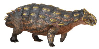 Zırhlı Ankylosaurus dinozorunun detaylı modeli.