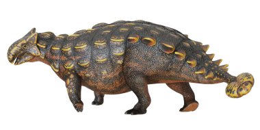 Bir Ankylosaurus dinozorunun detaylı modeli.