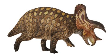 Beyaz arkaplanda Triceratops dinozor modeli.