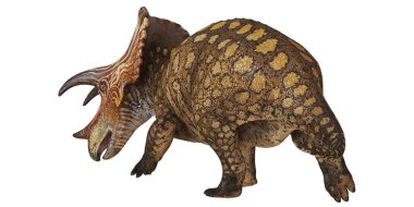 Ayrıntılı profilli kraliyet seratopsid dinozoru.