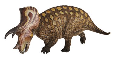 Bir Pachyrhinosaurus Dinozorunun Gerçekçi Modeli