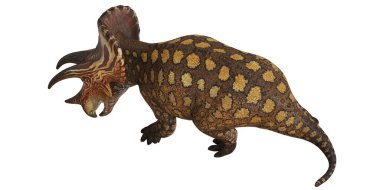 Bir Styracosaurus dinozorunun sanatsal canlandırması.