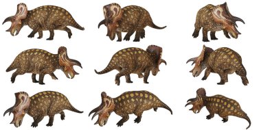 Styracosaurus dinozor modelleri koleksiyonu
